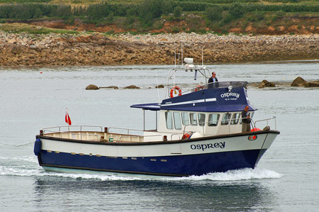 Osprey of St Mary's - Photo: © Ian Boyle,22nd July 2008