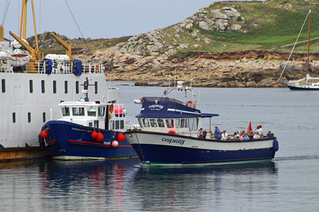 Osprey of St Mary's - Photo: © Ian Boyle,22nd July 2008