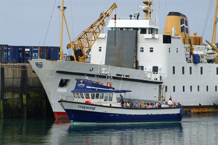 Osprey of St Mary's - Photo: © Ian Boyle,22nd July 2008