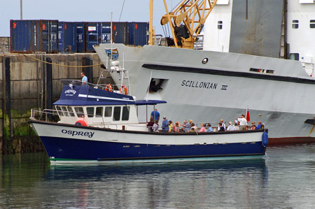 Osprey of St Mary's - Photo: © Ian Boyle,22nd July 2008