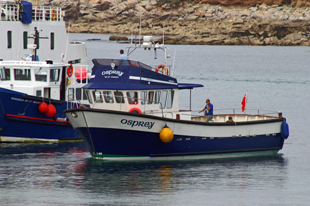 Osprey of St Mary's - Photo: © Ian Boyle,22nd July 2008