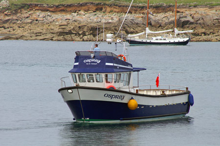 Osprey of St Mary's - Photo: © Ian Boyle,22nd July 2008