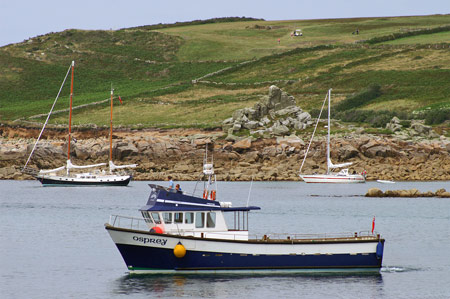 Osprey of St Mary's - Photo: © Ian Boyle,22nd July 2008