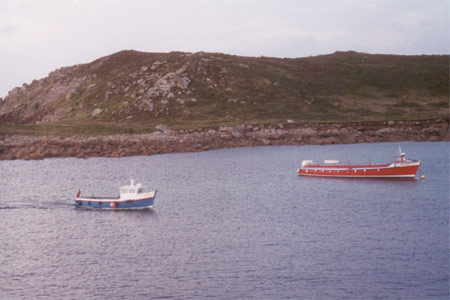 SeaKing - Photo: © Graham Thorne, May 2009