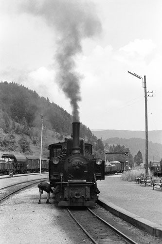 Steyrtalbahn - Photo: ©1974 Ian Boyle - www.simplonpc.co.uk - Simplon Postcards