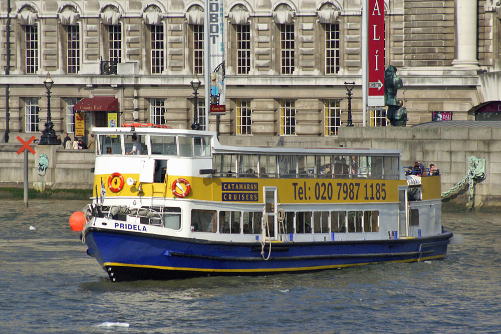 catamaran cruise london