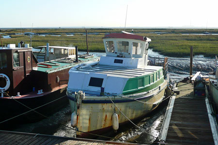 New Skylark at Leigh-on-Sea - Photo: � Ian Boyle, 10th December 2009