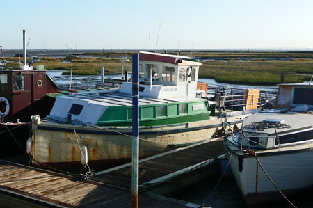 New Skylark at Leigh-on-Sea - Photo:  Ian Boyle, 10th December 2009