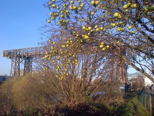 WARRINGTON TRANSPORTER BRIDGE - www.simplompc.co.uk - Simplon Postcards