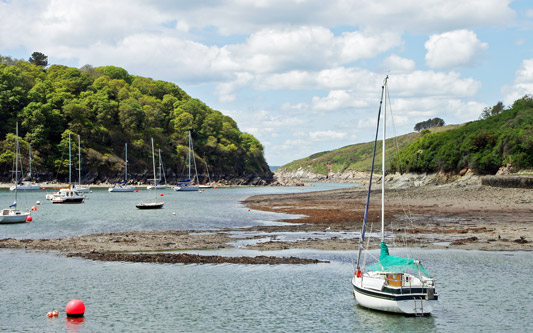 RIVER YEALM - Plymouth Boat trips - Photo: © Ian Boyle, 14th May 2014 - www.simplonpc.co.uk